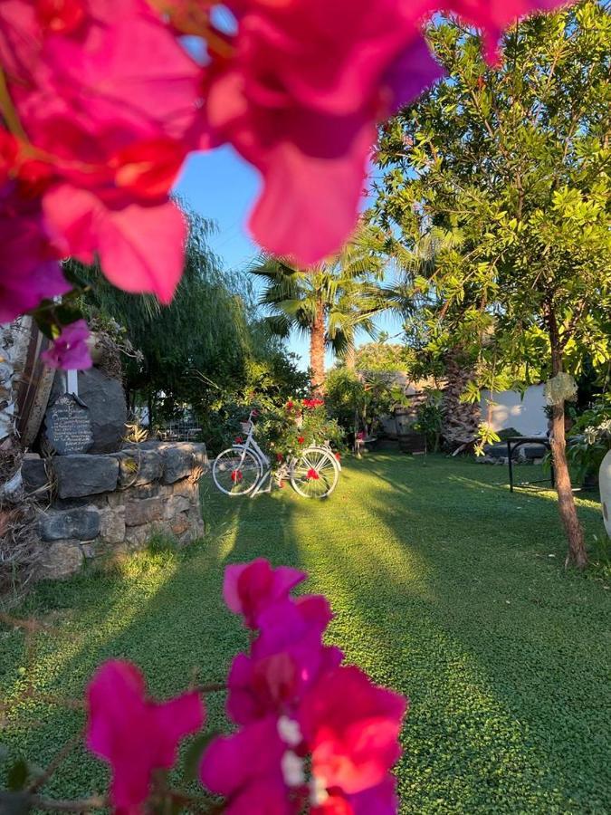 La Capanna Di Giuseppe E Maria Bed & Breakfast ตาออร์มินา ภายนอก รูปภาพ